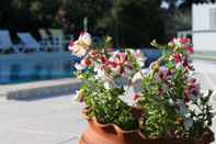 Swimming Pool Monte da Serralheira, Agro-turismo