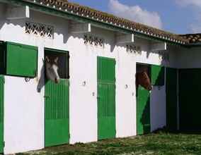 Exterior 4 Cortijo Las Piñas