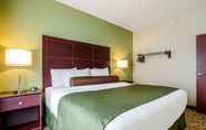 Bedroom 4 Cobblestone Inn & Suites - Harvey
