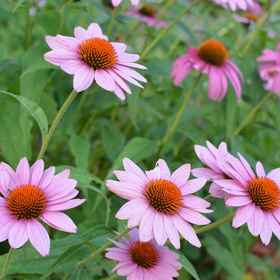 B&B Lounge 1, 酒店 Bailiwick Ranch and Zoo