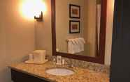 In-room Bathroom 2 Comfort Inn & Suites Sayre