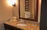 In-room Bathroom 2 Comfort Inn & Suites Sayre