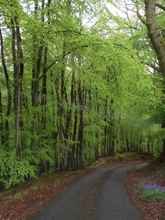 Bangunan 4 Cosy Cottage for Ecotourism Lovers, Near Corwen