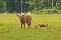 ห้องออกกำลังกาย Beautiful Peaceful Property Great for Wildlife