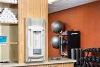 Fitness Center TownePlace Suites by Marriott Leesburg