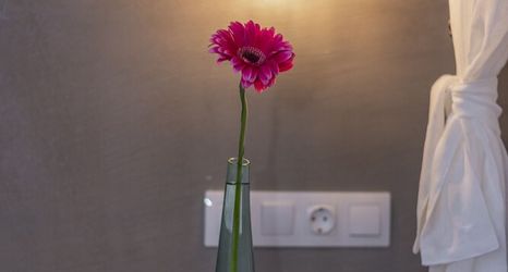 Bedroom 2 Unique Suite