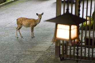 Lobi 4 Tsukihitei Ryokan