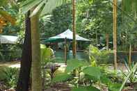 Swimming Pool Daintree Crocodylus