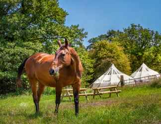 Luar Bangunan 2 Star Gazing Bell Tent Farm Stay
