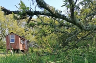 Common Space Stargazer Shepherds Hut. A Warm and Cosy Getaway