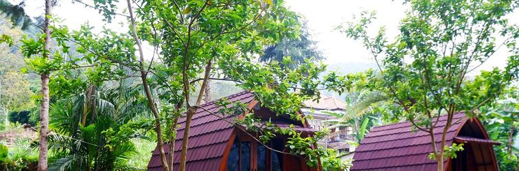 อื่นๆ Oak Tree Bali