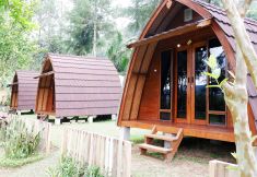 อื่นๆ 3 Oak Tree Bali