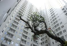Others 2 Private & Relaxing 1BR Apartment at Parahyangan Residence near UNPAR