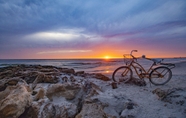 Nearby View and Attractions 2 Anna Maria Island Beach Palms