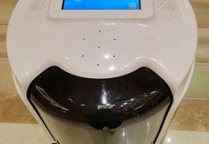 其他 2 Vienna International Luogang Science City