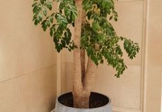 Others 5 Vienna International Luogang Science City