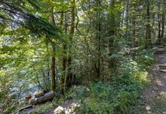 Khác 3 Mt Baker Lodging Cabin 24 - LAKESIDE, SLEEPS 4! by MBL