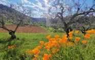 Khác 3 400 Year old 3-bedroom Farmhouse Central Portugal