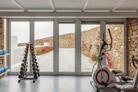 Fitness Center Anarina Villas Mykonos Elia Beach