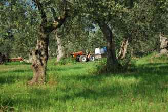 Exterior 4 Dante Pino in Tocco da Casauria