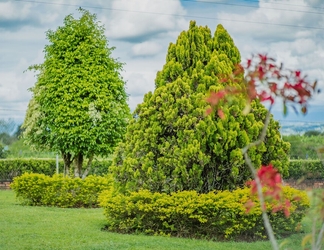 Bên ngoài 2 Hacienda Araucaria Habitacion 10