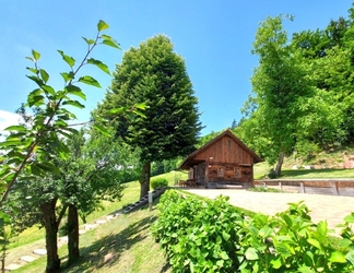 Exterior 2 Old House Knezovo With Lovely View