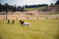 Fitness Center Farm Stay Ana