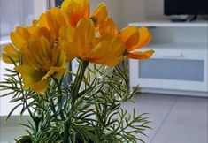Others 2 "central Brand New Apartment With Private Parking"
