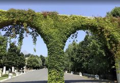 อื่นๆ 6 Doga Tatil Koyu