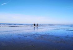 其他 6 No 9 - Bracklesham Bay Apartment