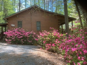 Exterior 4 Autumns Hollow - Adorable Rustic log Cabin Lake View Pet Friendly