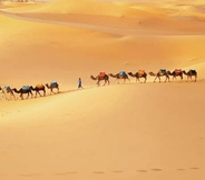 Others 3 Merzouga Exotic Luxury Camp Is The Best Location