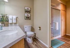 In-room Bathroom 7 River Ridge 331ab