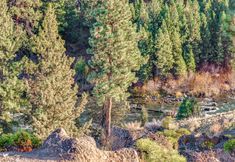 Nearby View and Attractions 2 Ski House 245