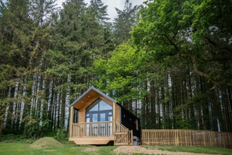 Luar Bangunan 4 Cabin In The Woods - 1 Bed - Kilgetty