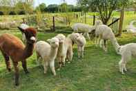 พื้นที่สาธารณะ Double Decker Bus on an Alpaca Farm Sleeps 8