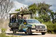 Accommodation Services Pantanal Jungle Lodge