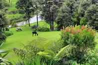 Ruang Umum Riverside Homestead Waitangi