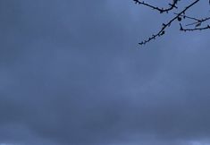 Others 5 Dibektaş Modi Bungalov