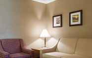 Ruang Umum 2 Comfort Inn & Suites