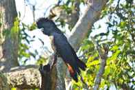 Pusat Kebugaran Yelverton Brook Conservation Sanctuary