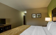 Bedroom 6 Comfort Inn Sylva - Cullowhee