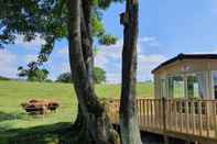 Exterior Gaerhyfryd Static Caravan