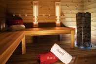 สิ่งอำนวยความสะดวกด้านความบันเทิง Chalet Marmot Luxury Chalet in Klosters Switzerland Sleeps 11