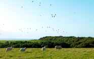 Nearby View and Attractions 7 11 'bellatrix' Bell Tent Glamping Anglesey