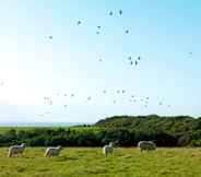 Nearby View and Attractions 7 11 'bellatrix' Bell Tent Glamping Anglesey