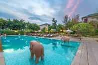 Swimming Pool Ranthambhore Kothi