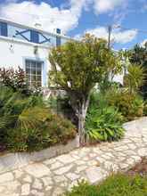 Others 4 Charming Country House in Portuguese Countryside