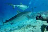 Fitness Center Tiger Shark Residence