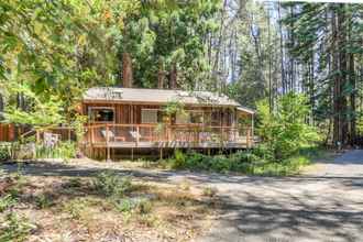 Exterior 4 Forest Sea Cabin